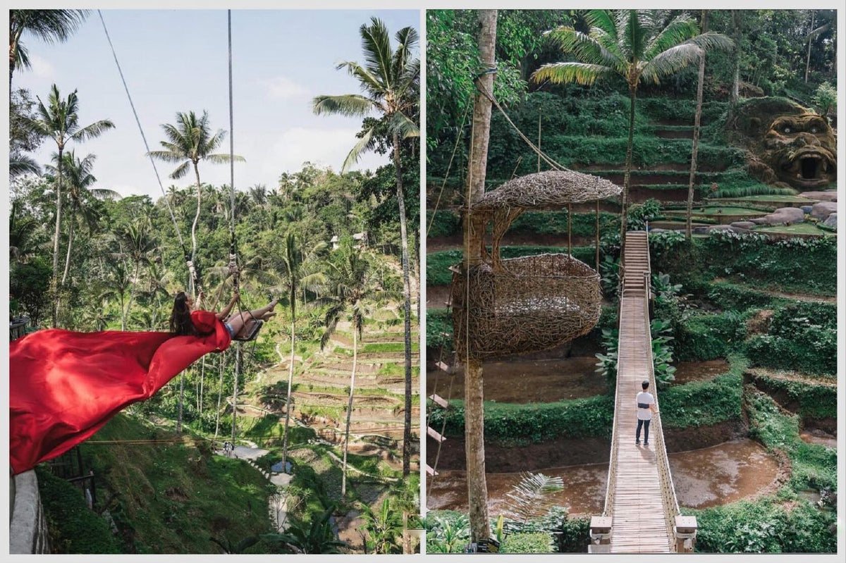 The swing over the Tegallalang rice terraces