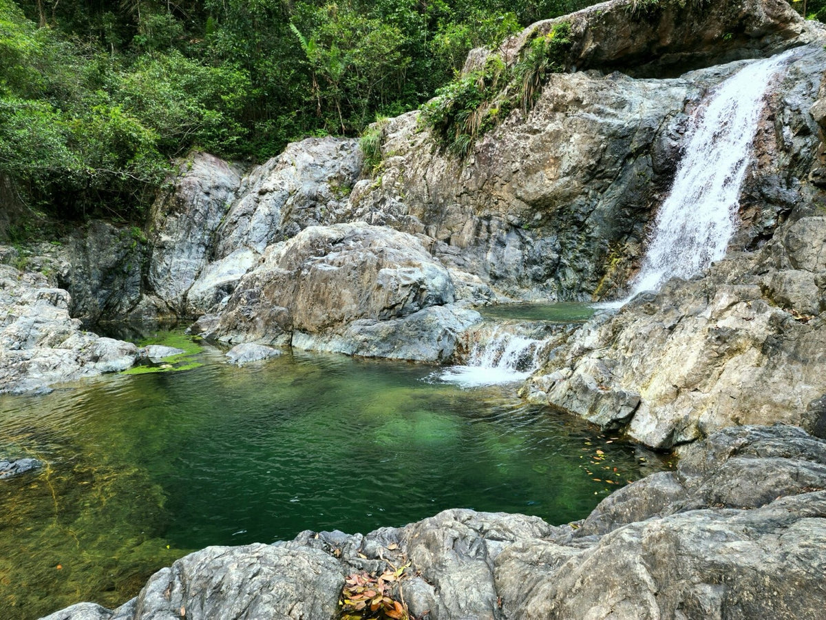Currumbin Rock Pools in the Gold Coast hinterland
