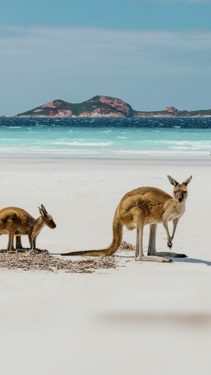 Perth to Esperance guide