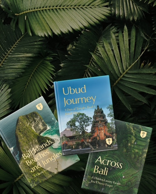 Travel guide books