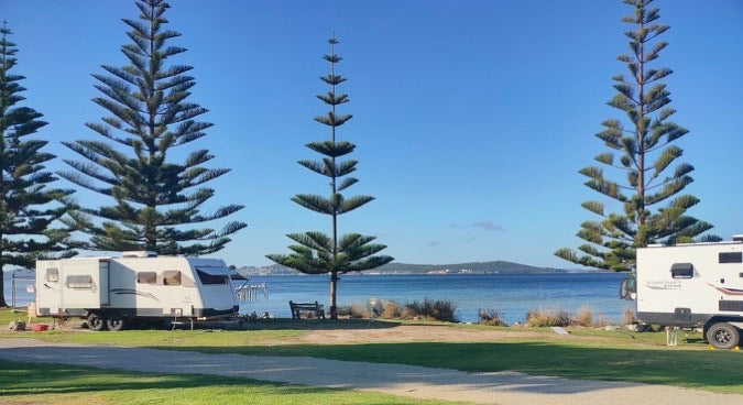 Caravans under Norfolk pines on the Albany waterfront