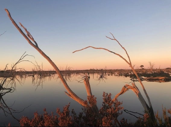 Lake Magic mirroring the dusk sky near Wave Rock