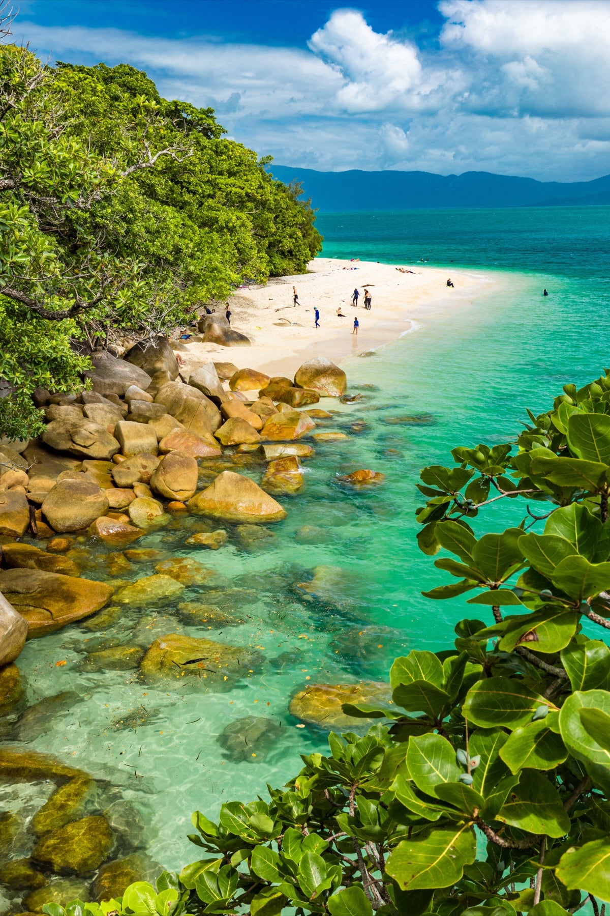 A rainforest-backed cove with turquoise water in Queensland