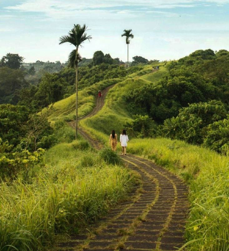 The Campuhan Ridge walking trail between green hills