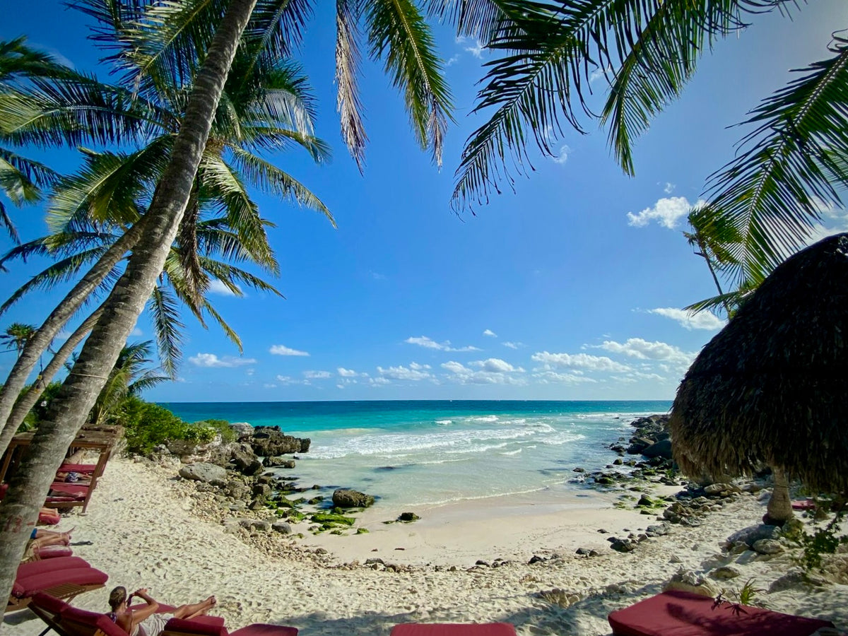 A palm-lined cove on the Tulum coast