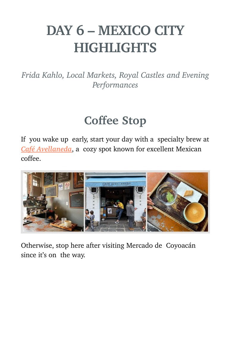 Page 49: a Mexico City day beginning with Café Avellaneda in Coyoacán