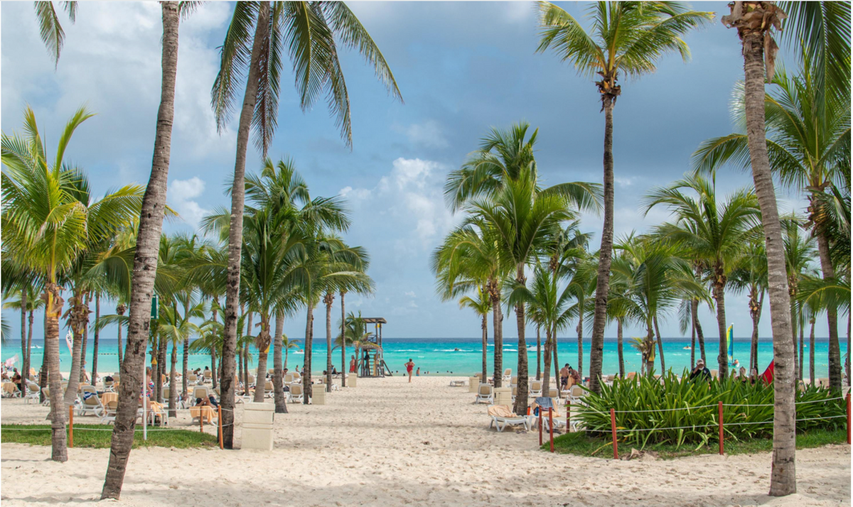 Palm trees and white sand on Tulum beach